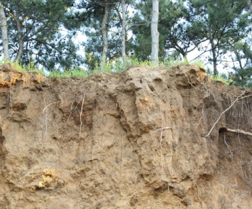 Provincia di Massa Carrara: mitigazione frana