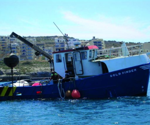 Malta Environmental