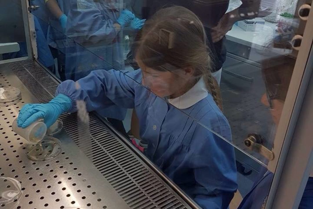 ambiente apre le porte agli studenti