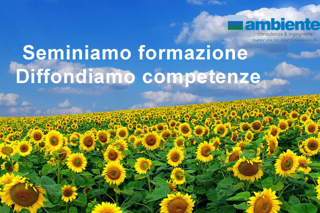 Il catalogo dei corsi di formazione di ambiente spa