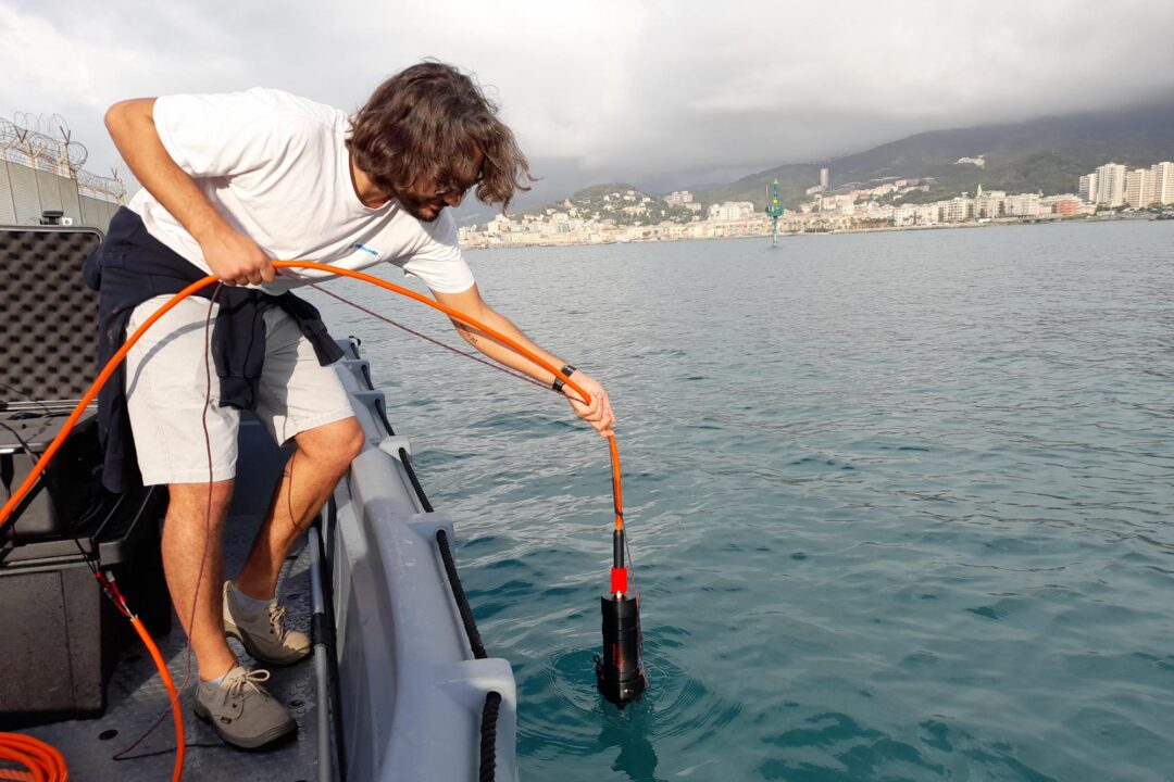 L’UE introduce limiti all’inquinamento acustico in mare